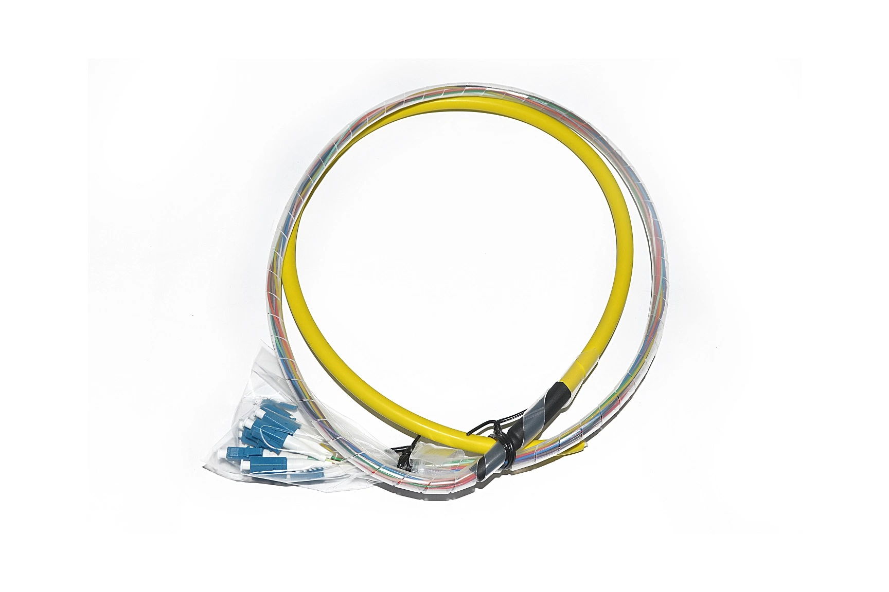 Customized Length Sc APC Upc Singlemode 12 Core Optical Fiber Pigtail