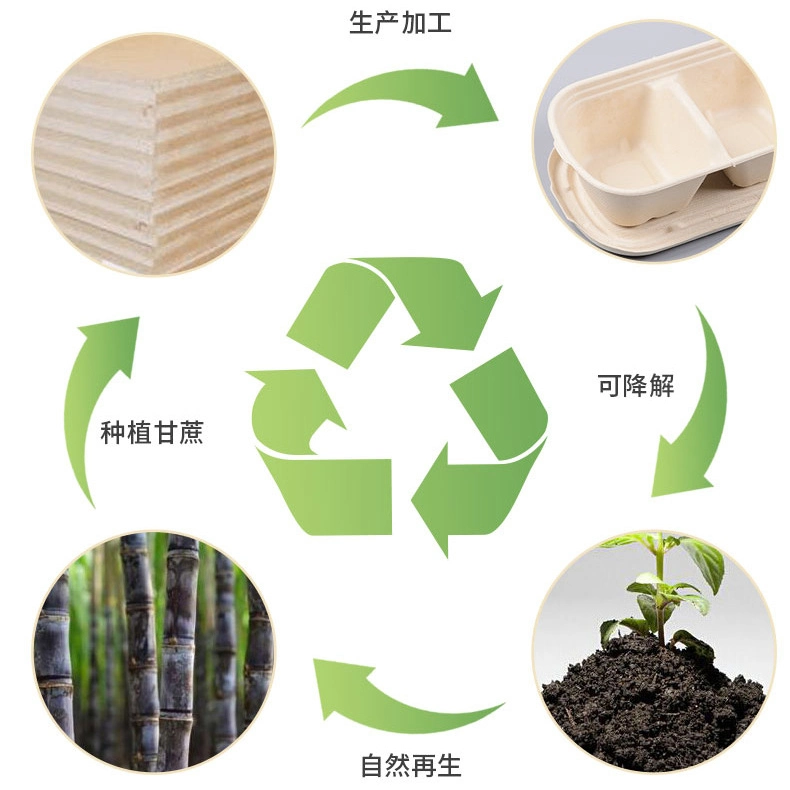 100% Compostable Disposable Bagasse Natural Take out Food Packaging Paper Containers Tableware