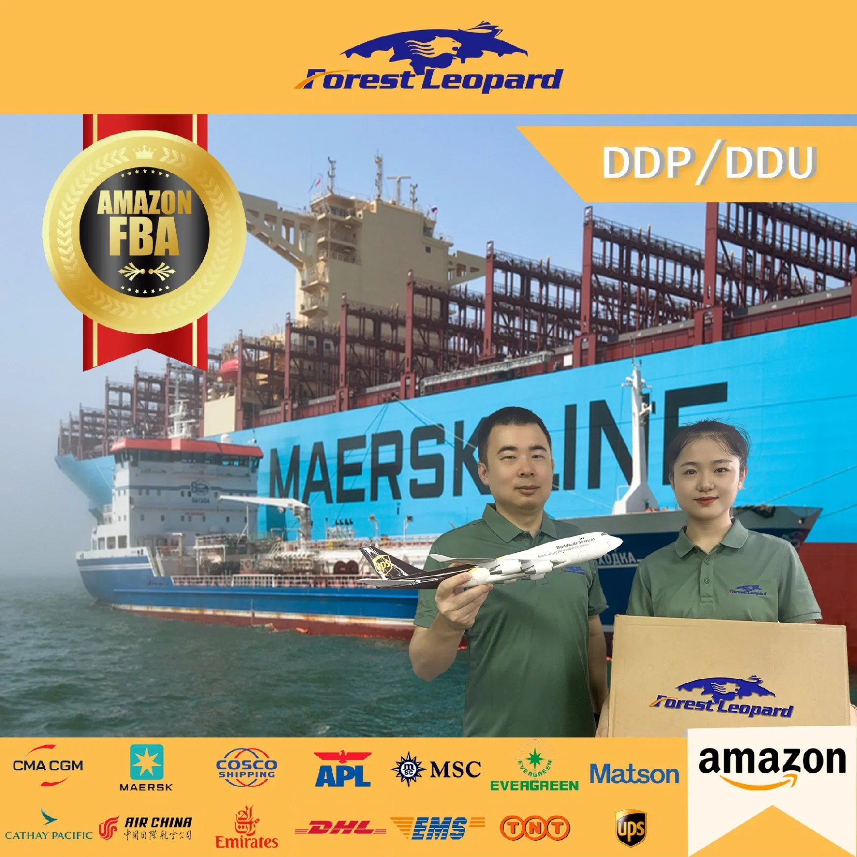 Sea Freight Logistics Service Cheap Sea Shipping From China to Australia DDP DDU Sea Freight Forwarder for General Goods