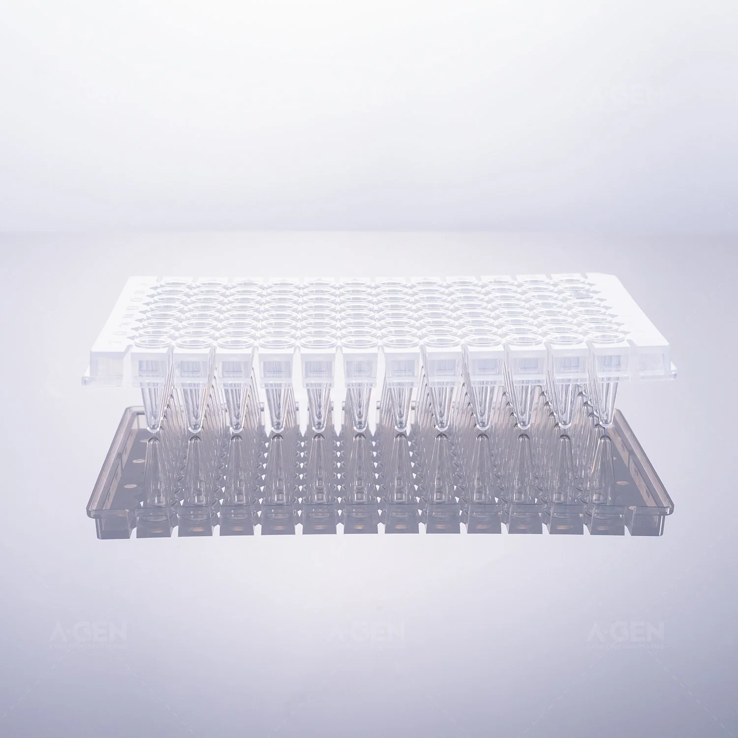 0,2ml 96 placa de PCR, transparente, sin faldón