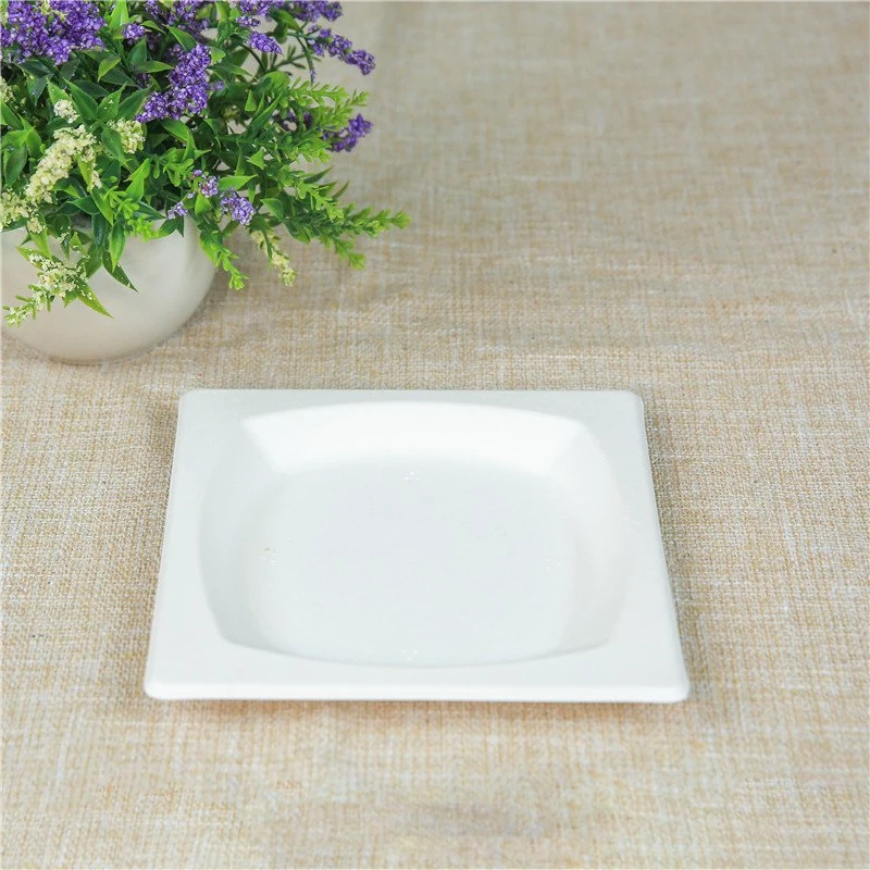 Eco Biodegradable Disposable Sugarcane Bagasse Pulp Dinner Set Plate Tableware