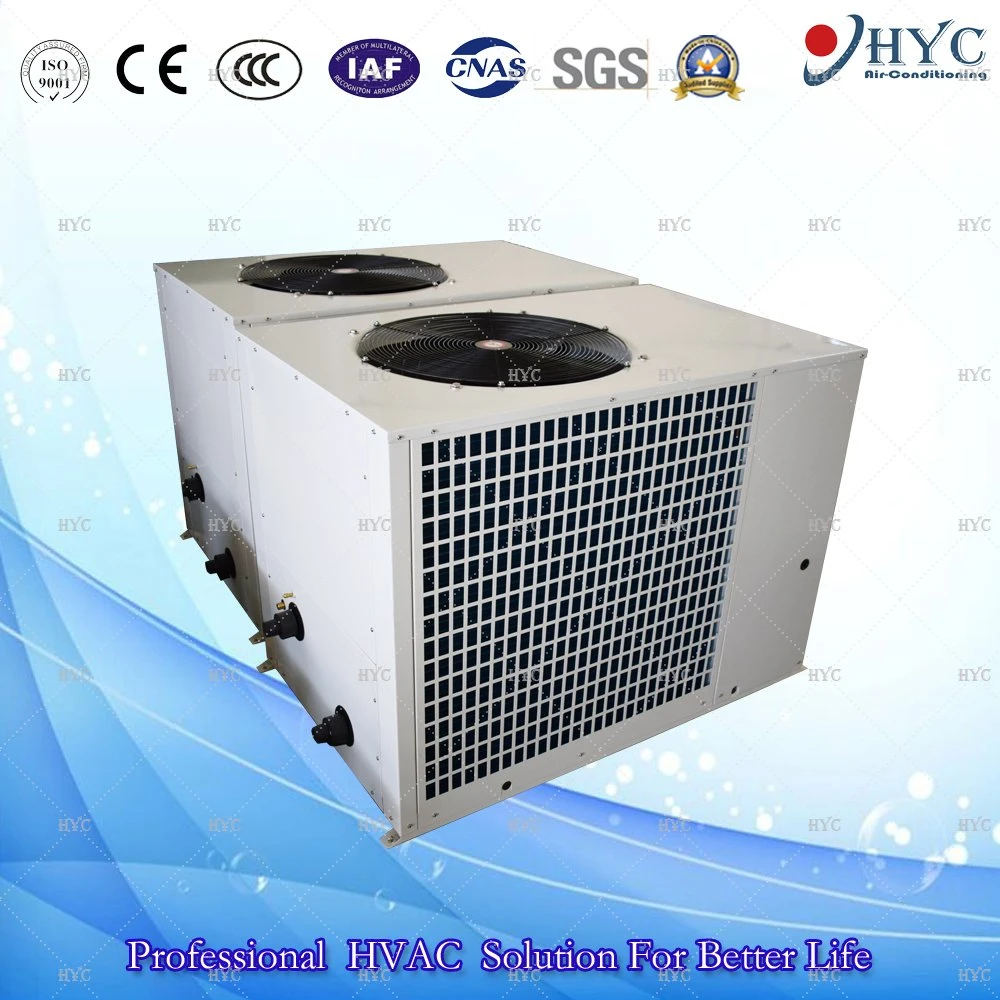 Commercial Air Cooled Water Mini Chiller/Air Conditioning Cooling System