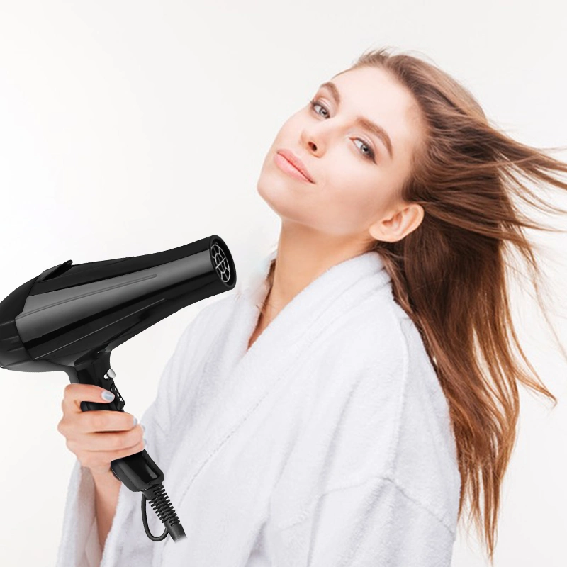 Customized Professional High-Power Hair Dryer for Salon