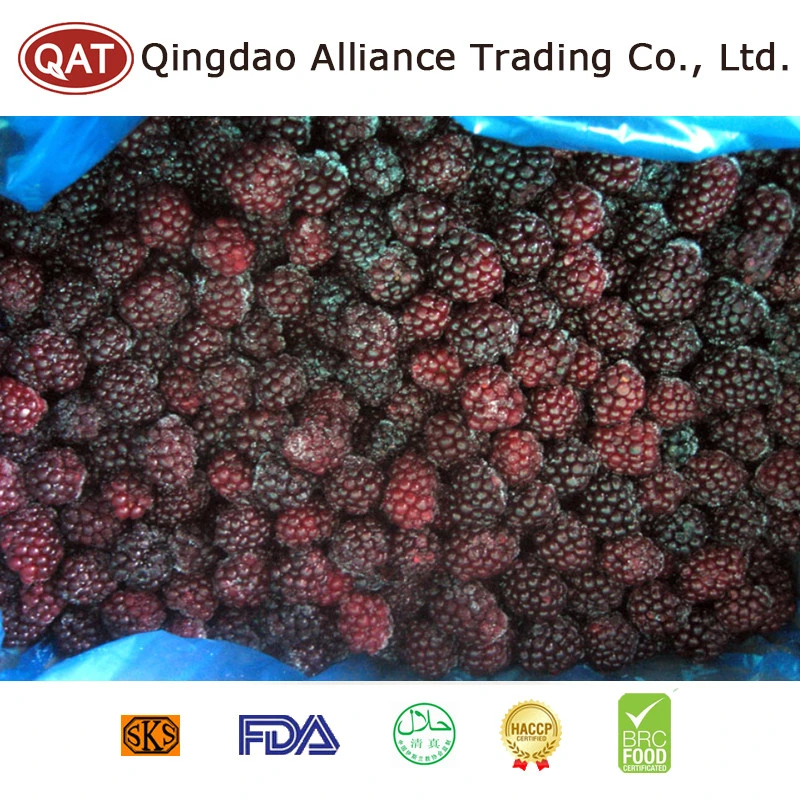 Certificação Brc Novo sazonal IQF IQF Blackberry frutos congelados originários da China
