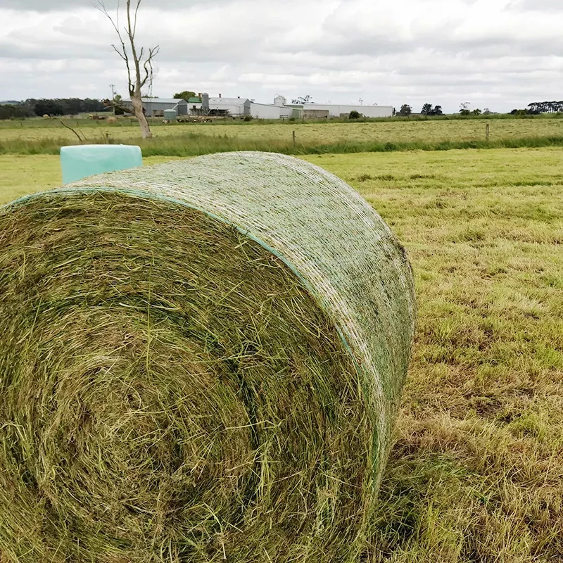 Plastic High Quality Biodegradable Widely Used Bale Net Wrap White Pallet Net