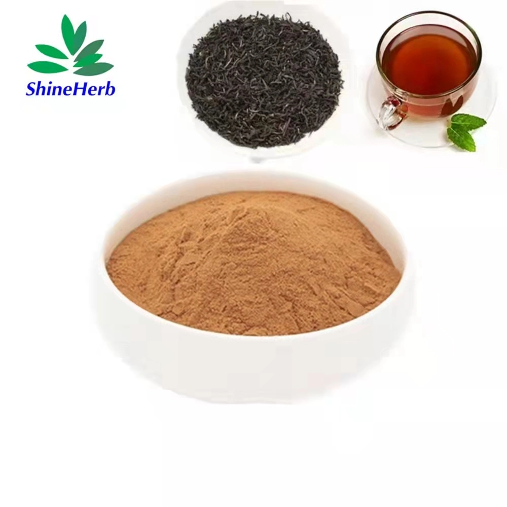 Extracto de té Oolong instantánea ISO en polvo a granel de alimentación de la fábrica de polvo de té Oolong instantánea