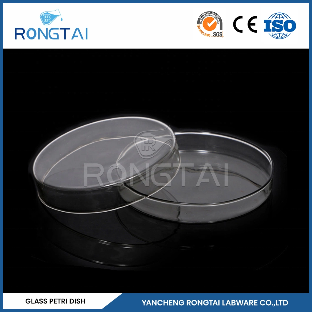 Placas de Petri Rongtai 75mm Fabricadores placa de Petri de vidrio 15X100mm China 200mm placas de Petri de vidrio