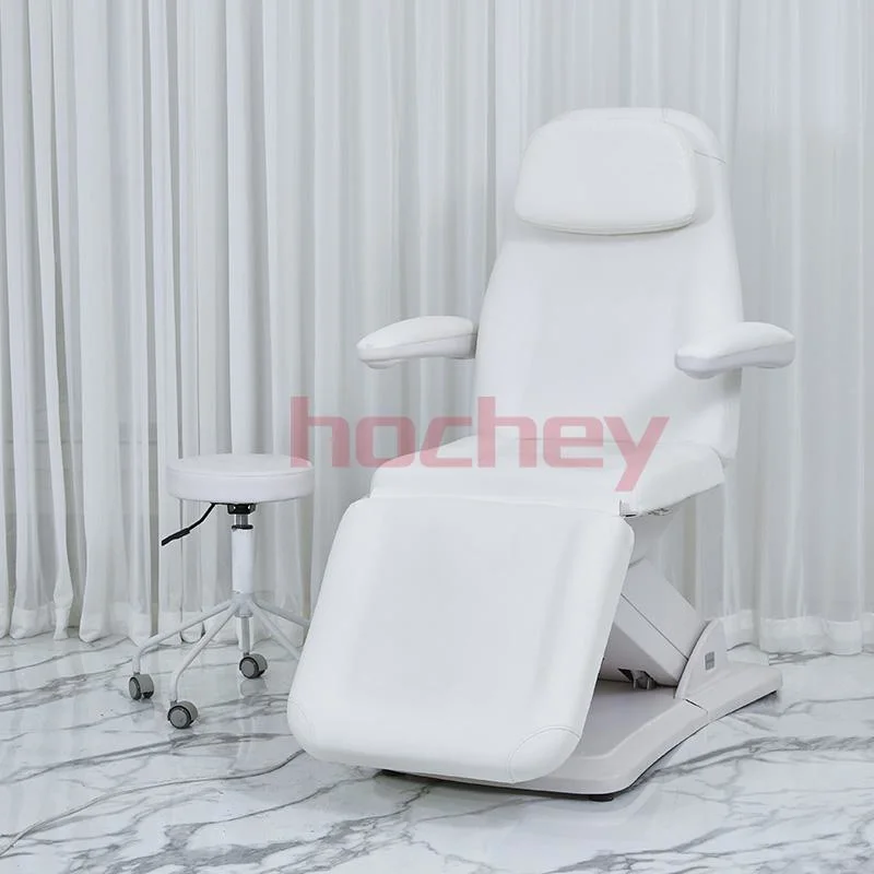 Hochey Medical Beauty Salon furniture Electric Adjustable Facial Bed Tattoo Chair with 2 Motors