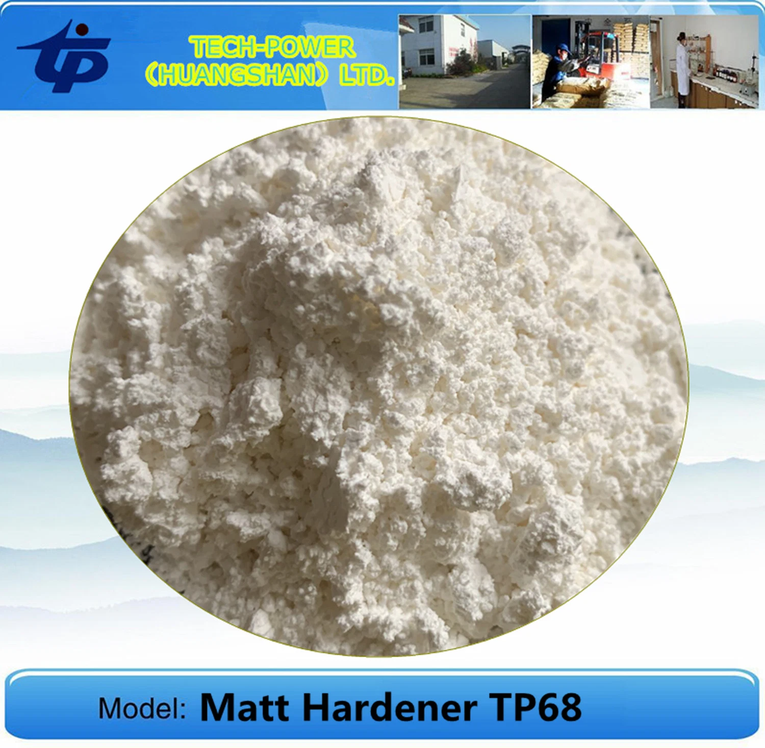 Wholesale/Supplier Flatting Delustrant Hardener Matting Agents for Pure Epoxy Resin Polyester Powder Coatings