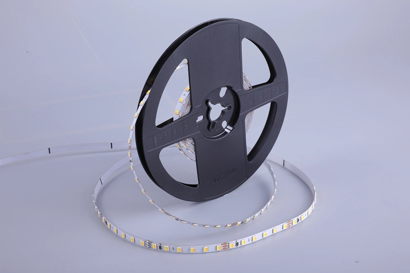 High Bright 2835 LED Strip 24V 12V Custom Tunable White CCT 2700~6500K LED Strip Light