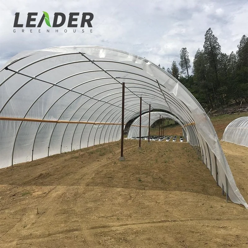 Single-Span Agricultural Greenhouses Produce Plastic-Covered Low-Cost Growing Greenhouses Farming