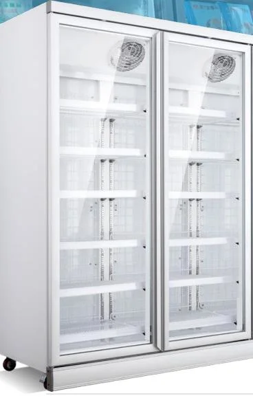 Supermarket Commercial Display Freezer with LED Lights Inside Double Glass Doors