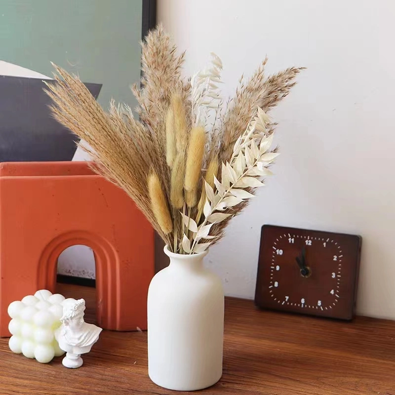 Natural Handmade Dry Dried Flower for Home Office Decoration