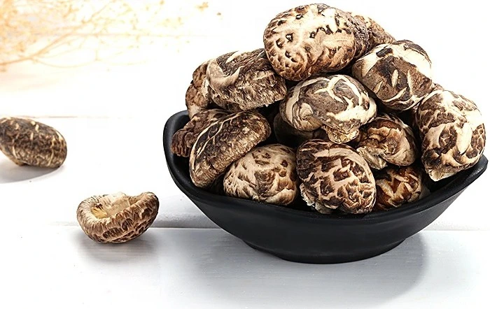 Dehydrated Tea Flower Mushroom Dried Lentinus Edodes 4-6cm