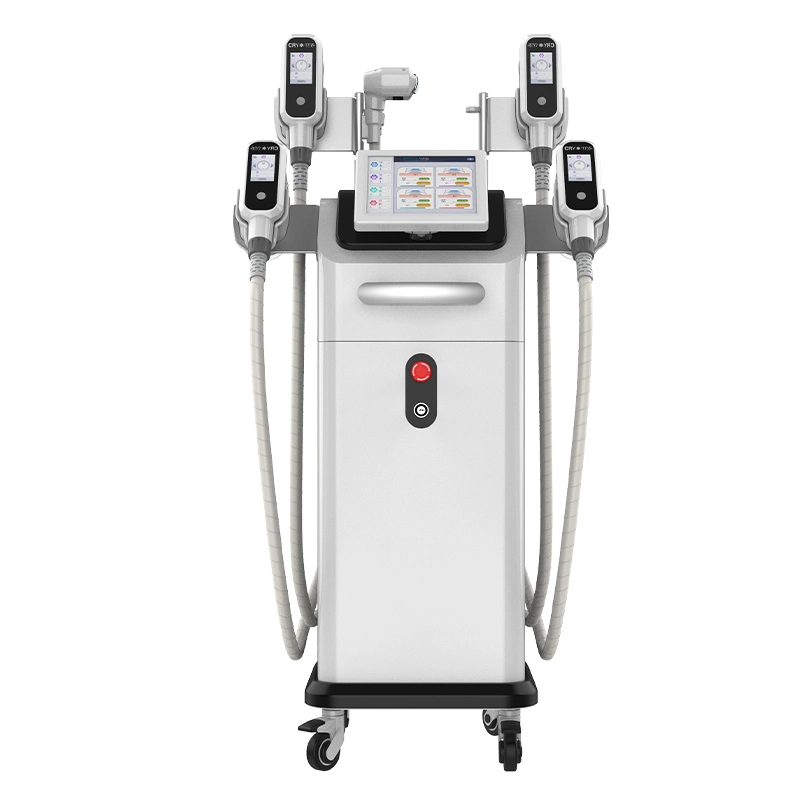 La FDA Cryolipolysis Máquina Mango transparente Body Sculpting Cryolipolysis dispositivo EMS