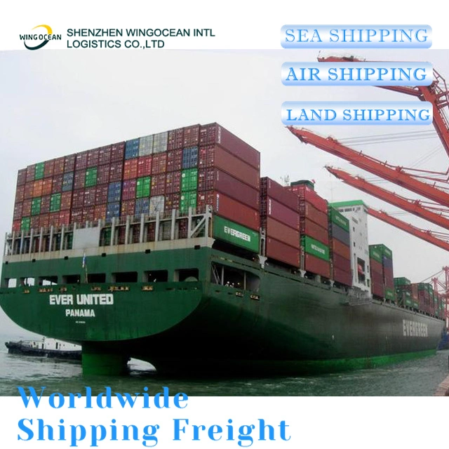 International Shipping China to Germany Maritime Cargo Logistics Service