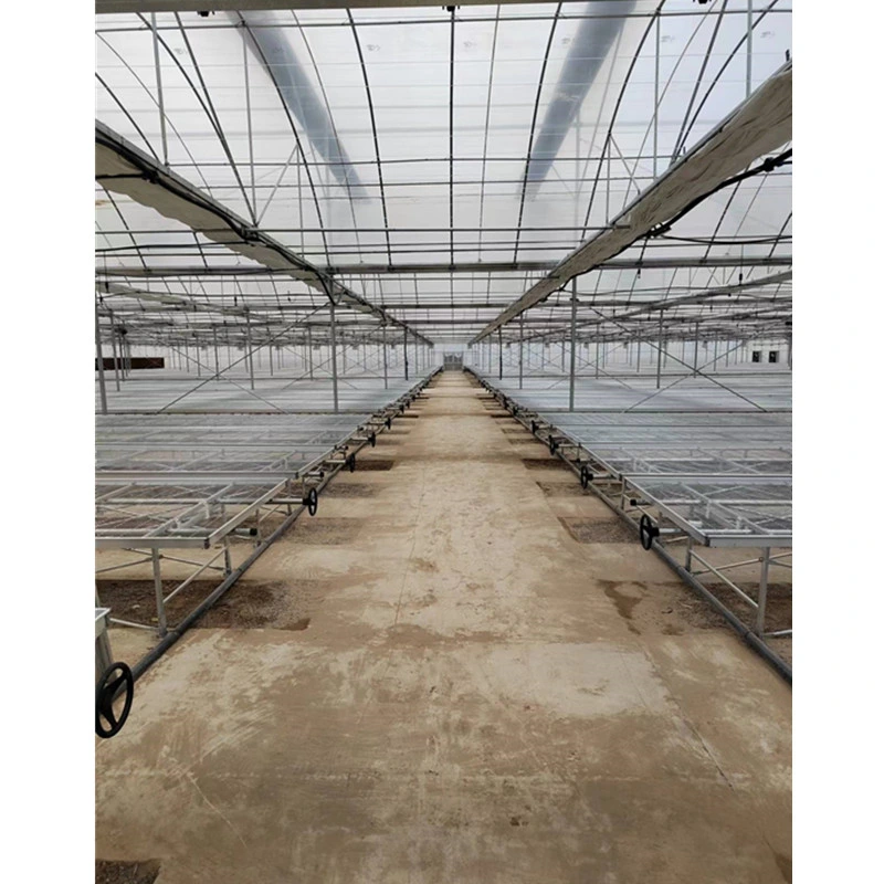 Moveable Seedling Bed Used for Agricultural Greenhouse