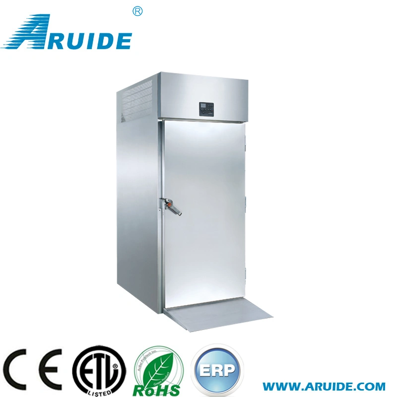 High Quality Professional Commercial Blast Freezer for Sale (T26-D)
