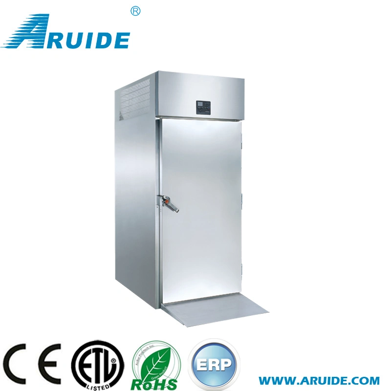 High quality/High cost performance Professional Commercial Blast Freezer for Sale (T26-D)