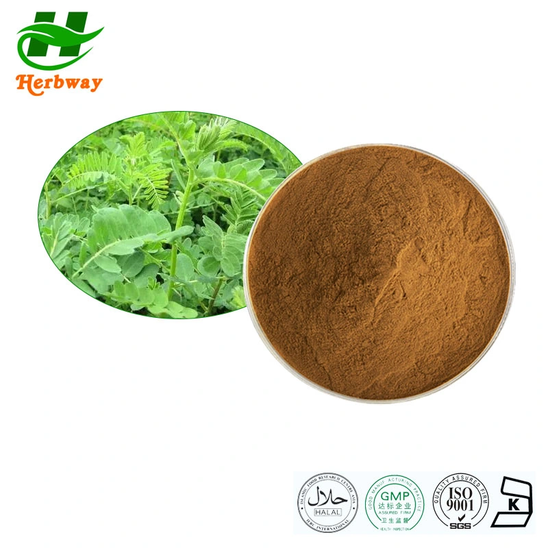 Herbway Plant Extract Kosher Halal Fsc محسن المناعة المعتمد من HACCP أستراغالوس مستخرج الجذر أدير أستراغالوسايد