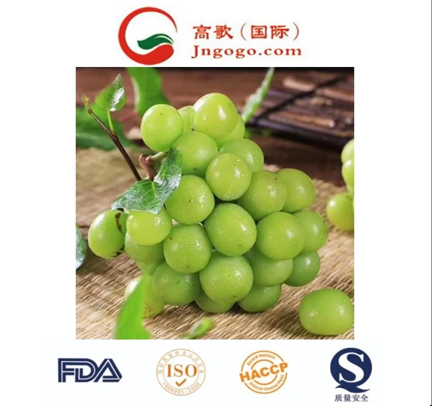 China uvas verdes con Marca Gogo