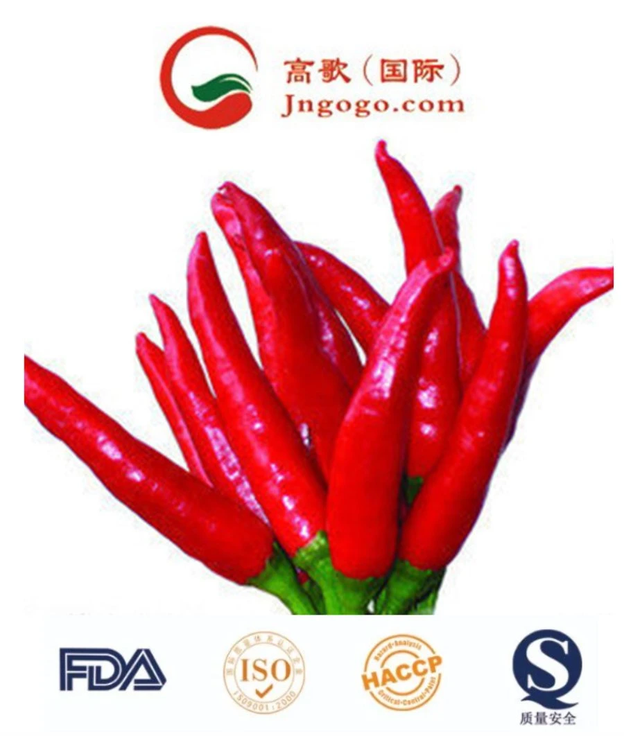 100% Pure Fresh Red Hot Organic Natural Dried Chili Pepper