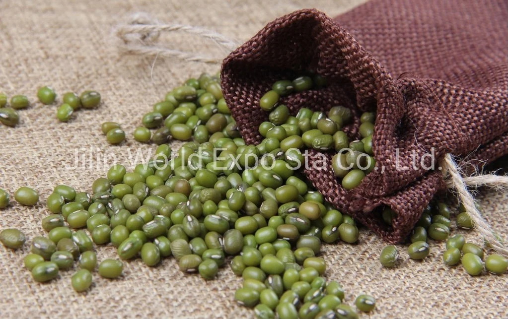 Wholesale/Supplier Dried Green Beans 4.0mm for Food