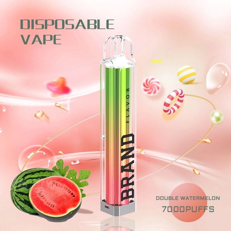 OEM Vape Wholesale/Supplier Factory Price 800 Puffs Disposable/Chargeable Vape Pen 2.0ml Eliquid 0% 2% 5% Nicotine