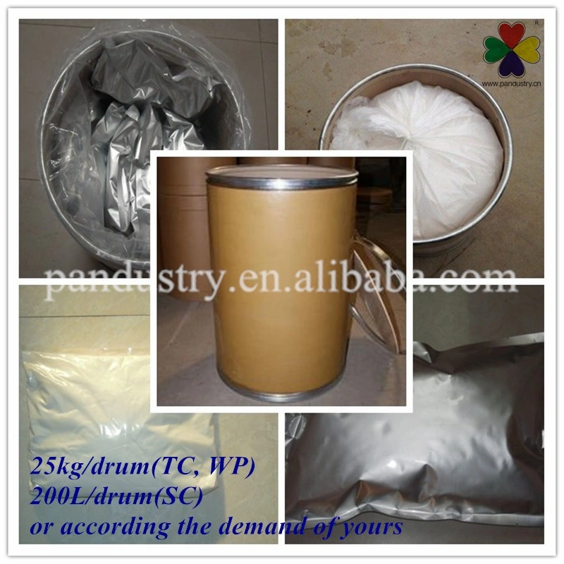 Agriculture Product Plant Hormone 4-CPA 98%Tc