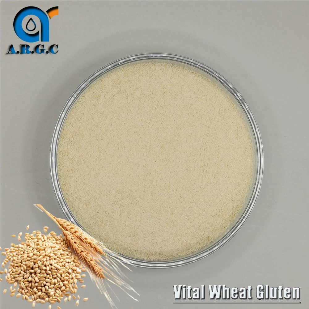 Wheat Gluten with Stable Quality From Own Planting Base Vital Wheat Gluten Powder