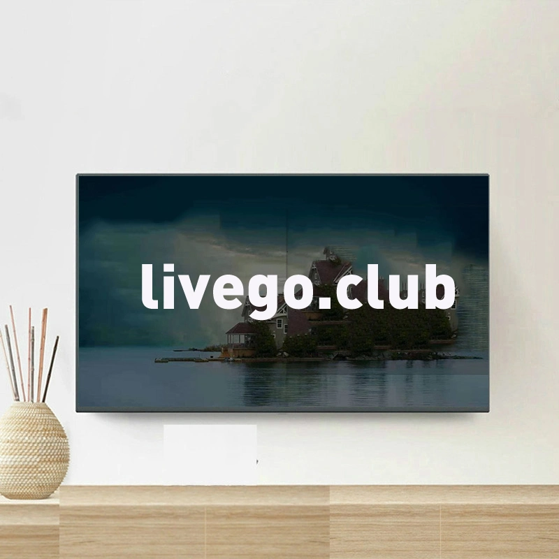 IPTV of 1 Year Subscription Livego Scandinavian Ex-Yu France Spain Spanish Poland UK Dutch IPTV for Android Box African Greek Brazil IPTV with Smart Player