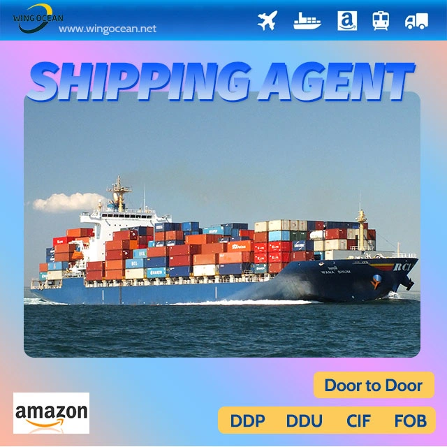 Professional and Excellent Container Shipping From China to USA/ Canada/ Europe Fba Logistics