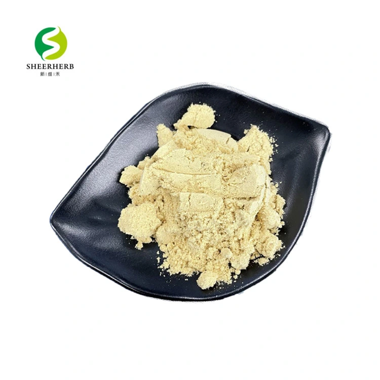 Male Sexual Health Tongkat Ali Ginseng Tongkat Ali Powder