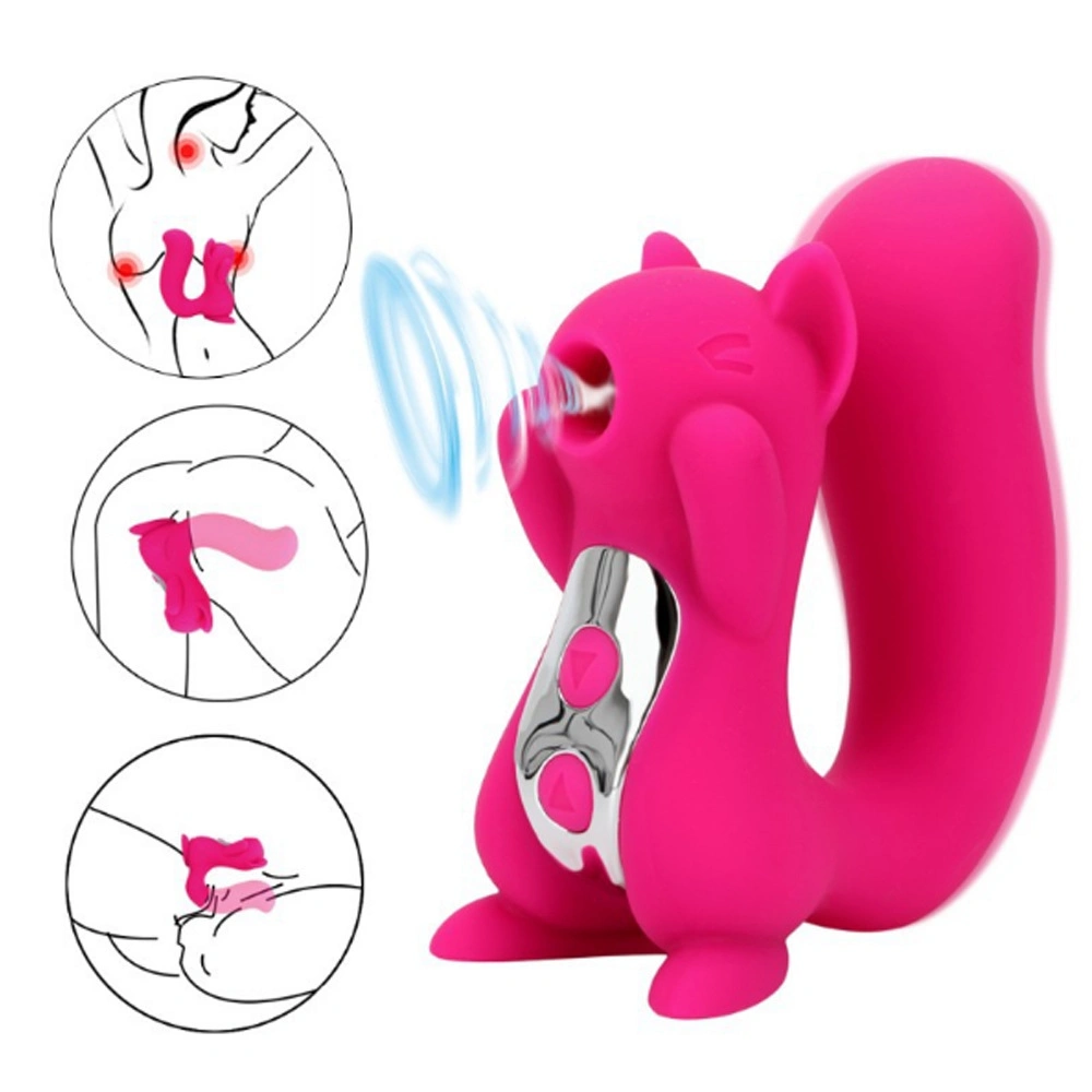 Sucking Vibrator USB Waterproof Wearable Panties Vibrator Dildo Vibrator for Female