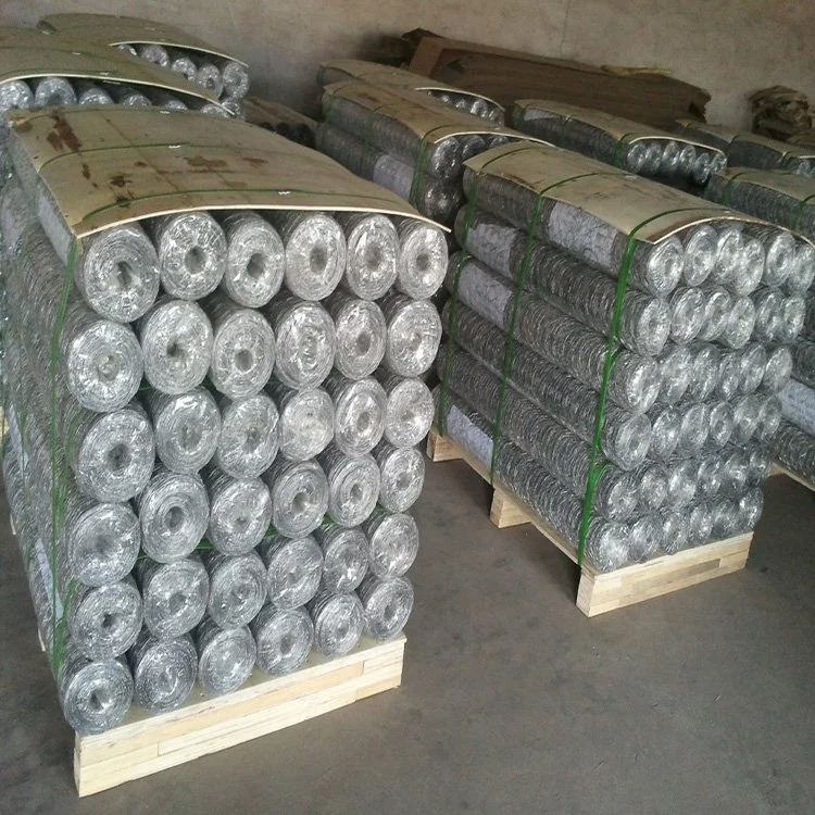 Factory Wholesale/Supplier 6FT Chicken Iron Wire Mesh Galvanized Hexagonal Wire Netting