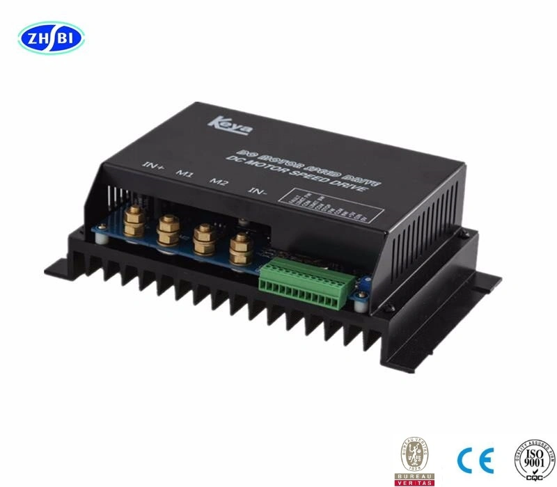 24V 36V 48V 250W 350W 600W Simple Control Motor Speed BLDC Electric Motor Controller Brushless DC