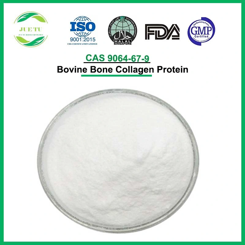 Bone Care Joint Health Supplements Raw Material CAS 9064-67-9 Bovine Collagen