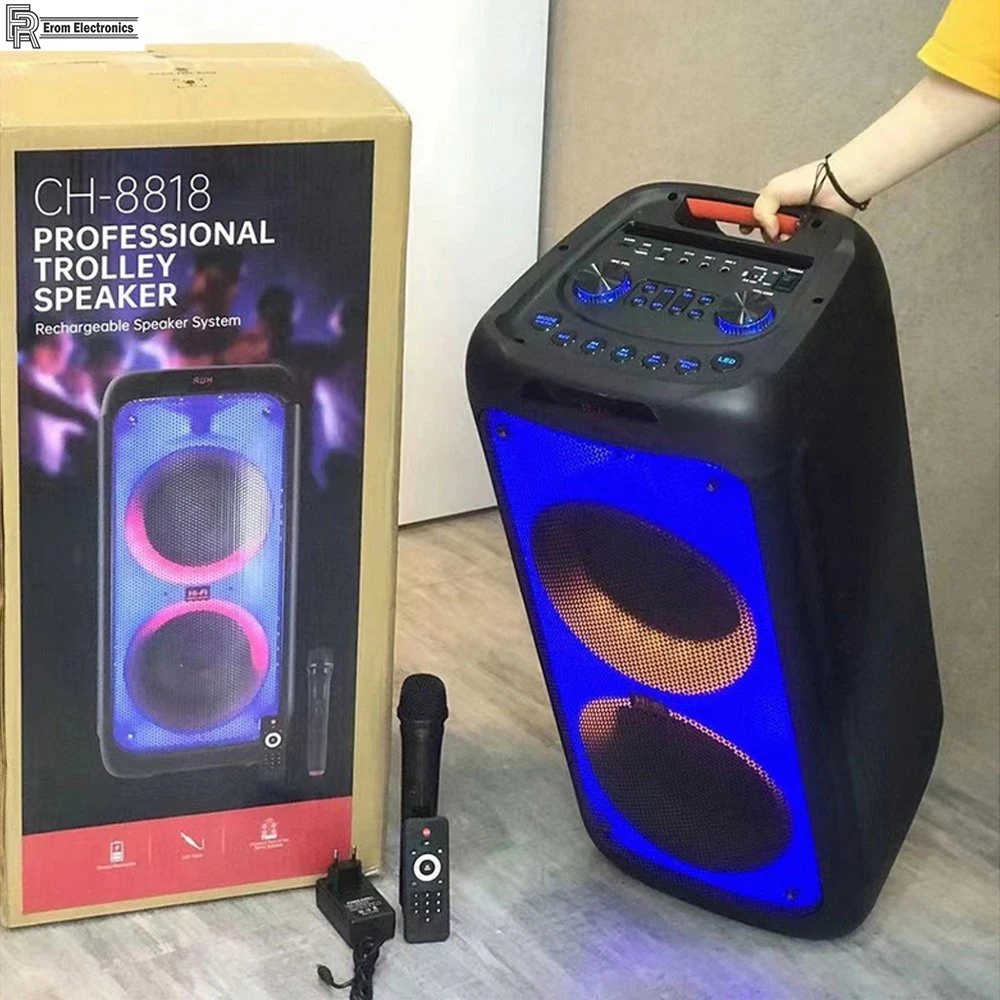 Factory OEM Portable Speakers Double 60W 8 Inch Outdoor Karaoke Trolley Party Speaker