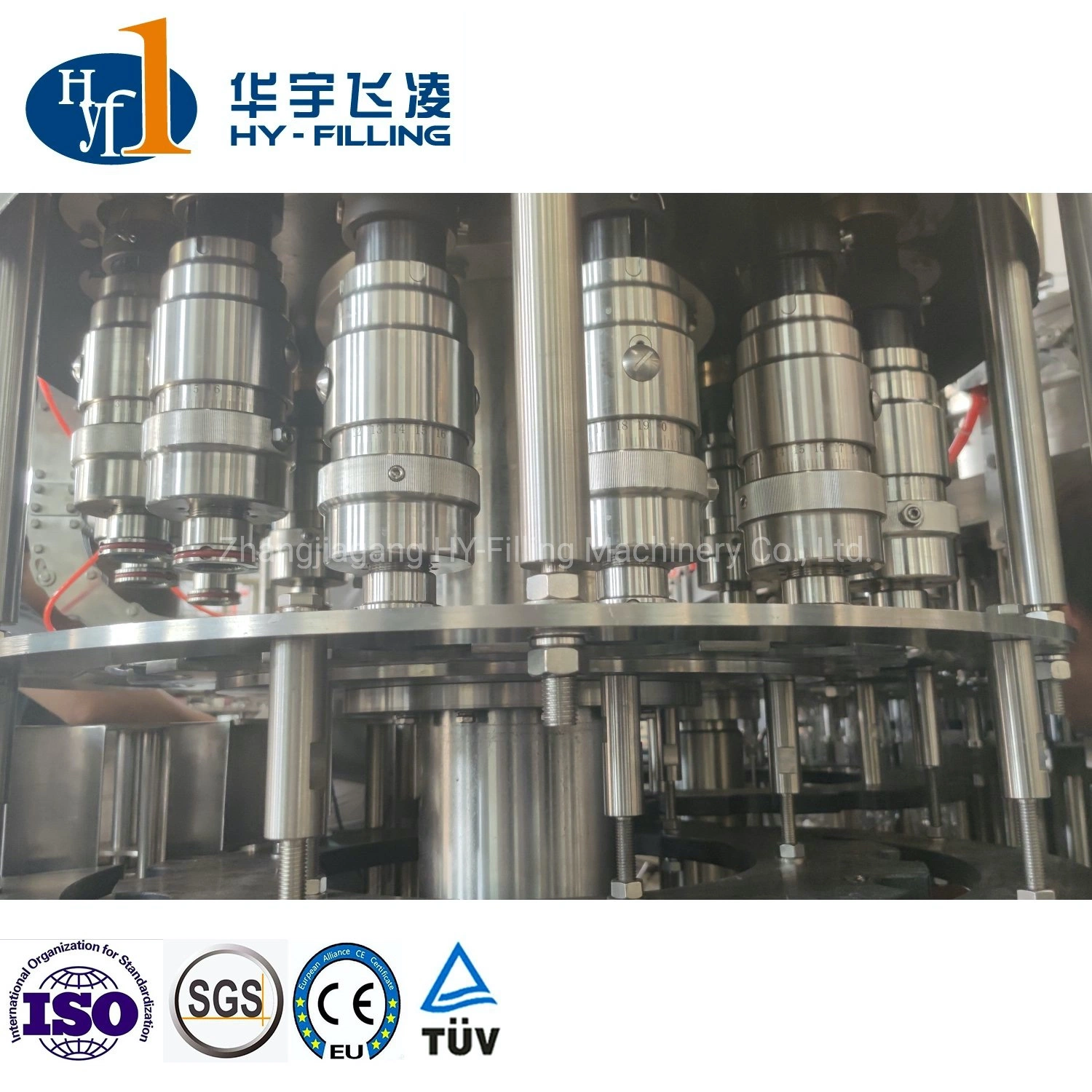 Fully Automatic Rotary Blow Moulding Machine Pet Bottle Pure/Mineral/Drinking/Still Water/Juice/CSD Combi Block Combibloc Blowing Filling Capping Machine