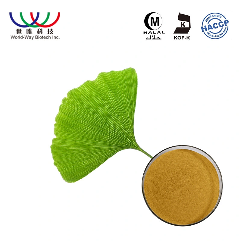 Factory Wholesale/Supplier Free Sample Natural 24%/6% Ginkgo Biloba Leaf Extract Powder