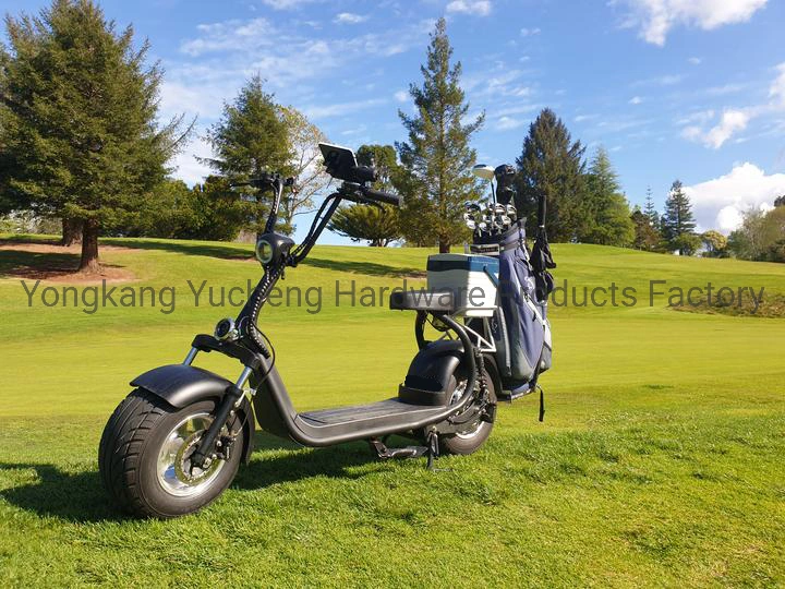 Electric Fat Tire Golf Scooter 2000W 20ah Lithium Battery CE Surf Scooter Fishing Bike