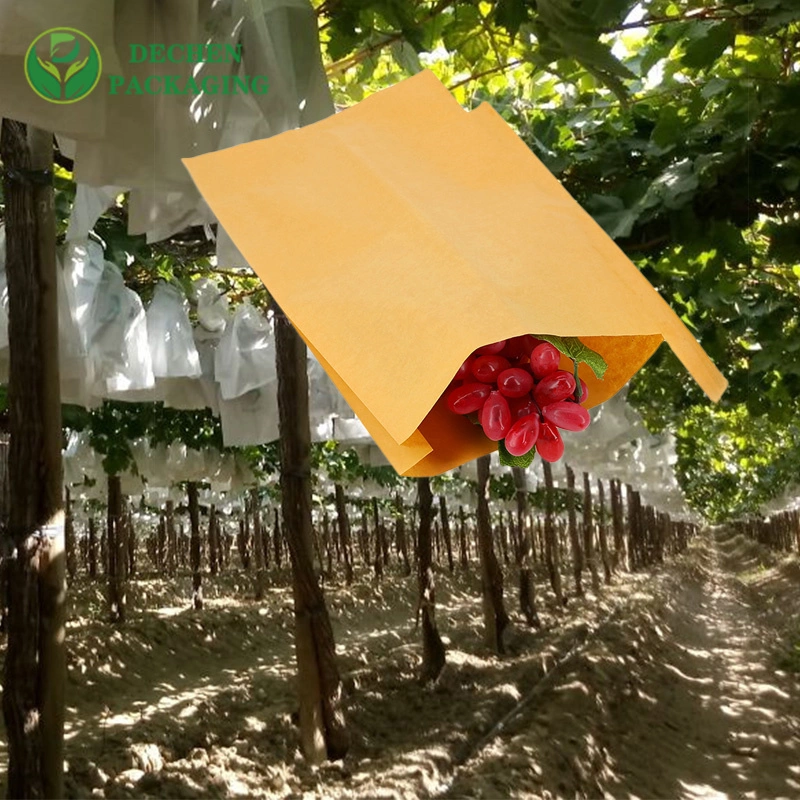 Wholesale/Supplier Grape Bags 20*30 18*28 Mango Protecting Paper Peach Grow Pear Protection Bag