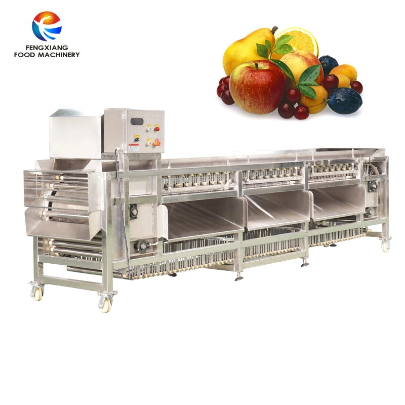 304 Stainless Steel Potato Onion Sorting Fruit Size Grading Machine