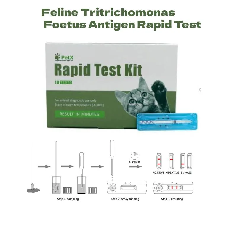 Feline Tritrichomonas Foetus Antigen Rapid Test for Cat