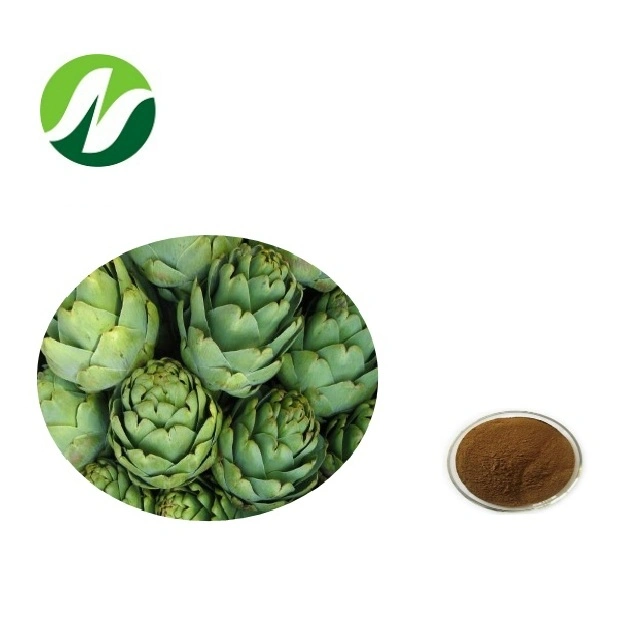 Best Price Cynarin 2.5%, 5% by UV Artichoke Leaf/Herb Extract