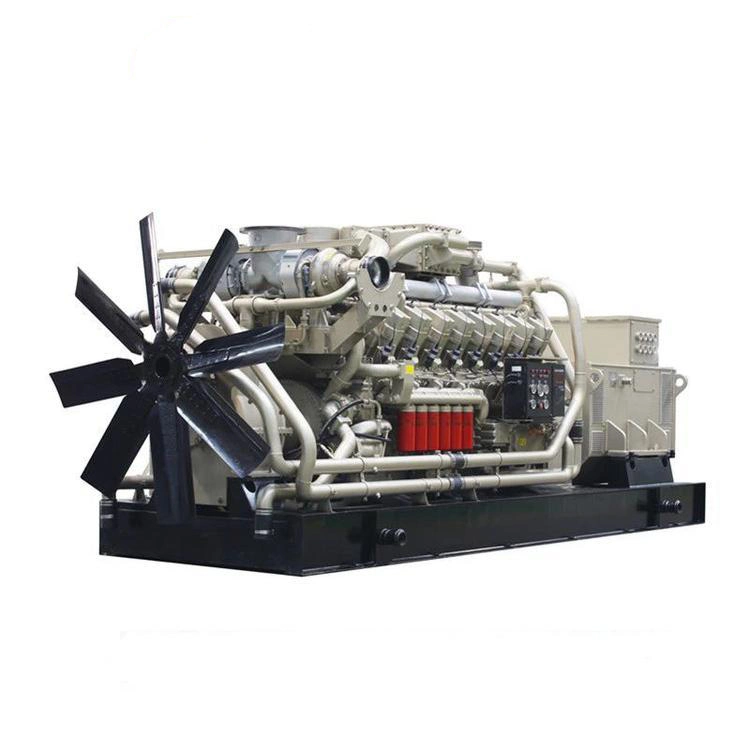 300kw Biogas Generator Set Gas Generator Equipment Fast Start, Stable and Energy-Saving Multi-Media Available