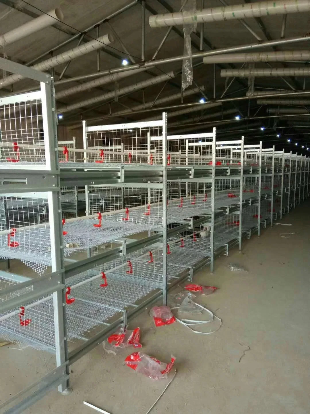 Équipement d'élevage avicole Cage de batterie d'élevage automatique pour poulets de chair
