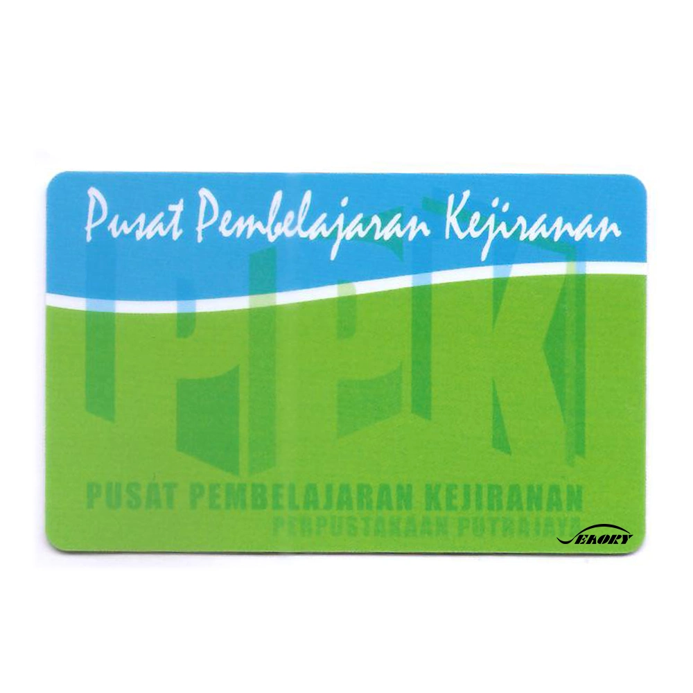 Custom Printing Cr80 Magnetic Stripe Membership Loyalty Card VIP Member Plastic PVC Card