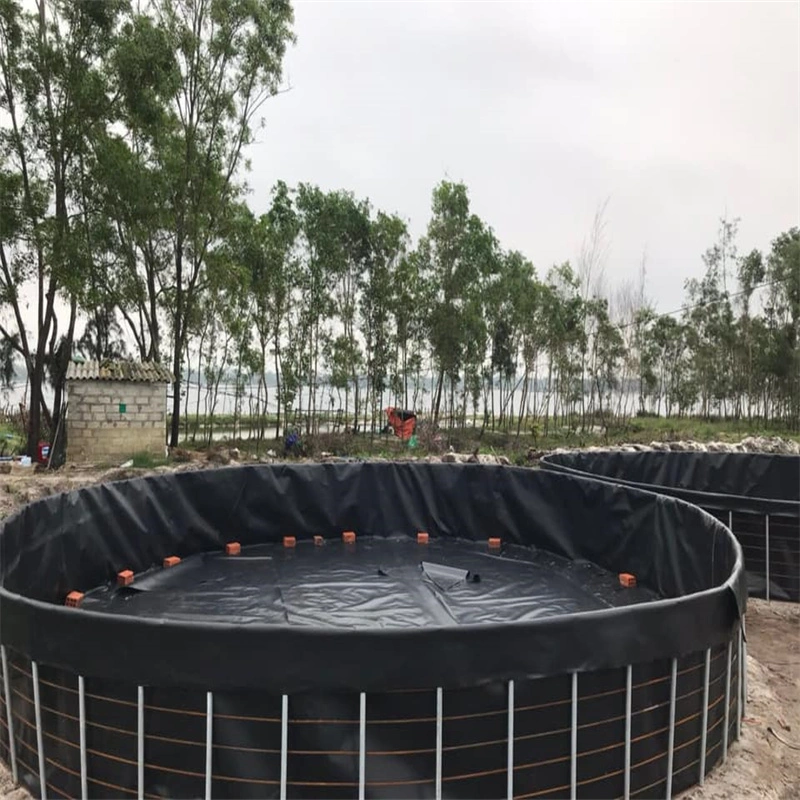 5m/6m/7m/8m Wide Geo Liner Reel Rolls PE Membrane Geomembrane in Sri-Lanka/Uganda/Ethiopia/Congo