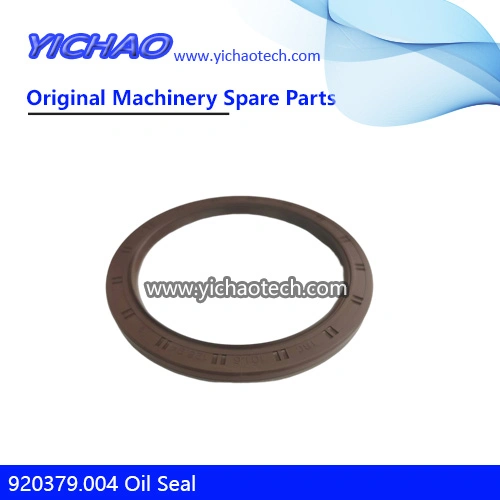 Genuine 923109.0427 Oil Seal 231884/60121980 for Kalmar Dcd200-300 Container Reach Stacker Parts